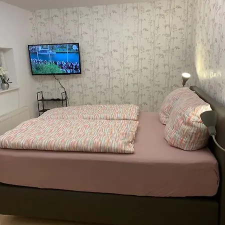 Apartment Maison Grande Fleur Metterich